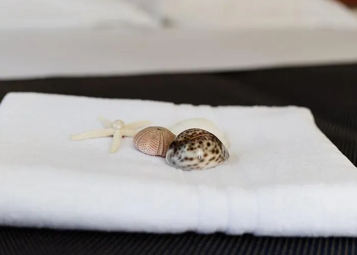 Byron Solo Per Giovani 리치오네