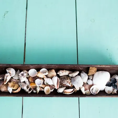 Byron Solo Per Giovani リッチョーネ