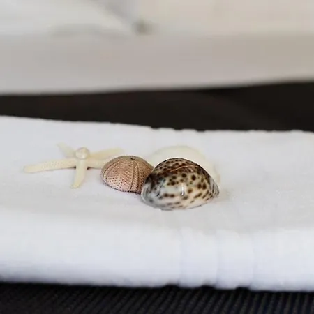 Byron Solo Per Giovani Riccione