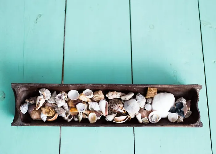 Byron Solo Per Giovani ריצ'יונה