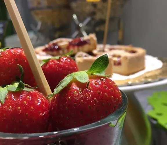 מלון Byron Solo Per Giovani 2*