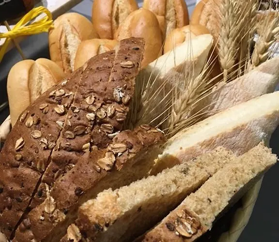 Hotel Byron Solo Per Giovani 2*