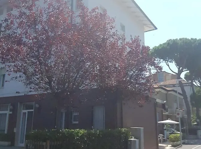 Hotel Byron Solo Per Giovani